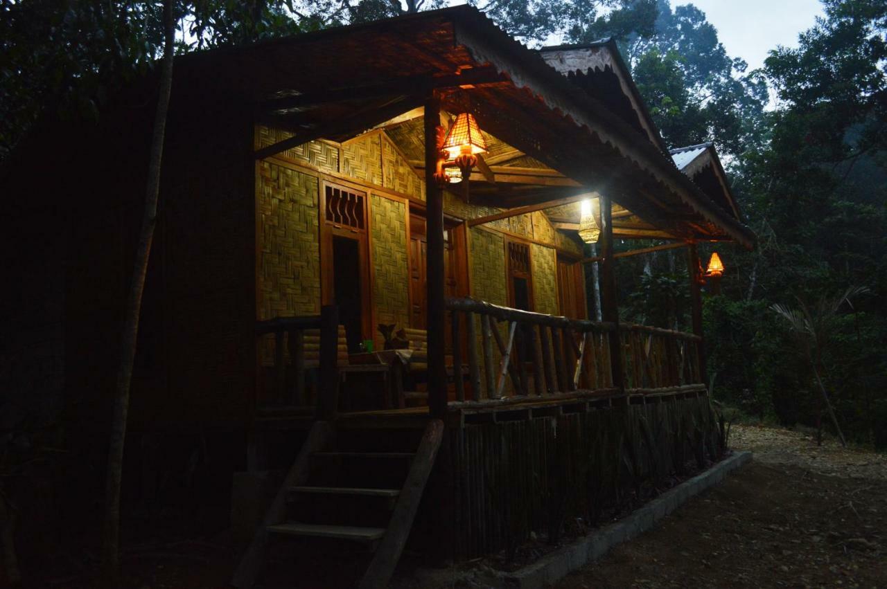 Landak River Guest House Only Trekking With Us Букіт-Лаванґ Екстер'єр фото